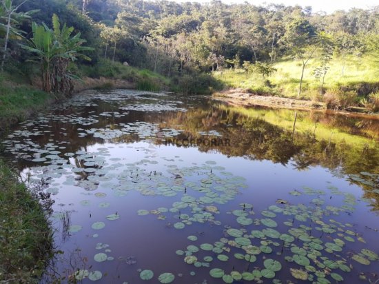 fazenda-venda-varzea-das-flores-betim-mg-288450