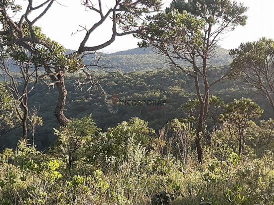 fazenda-venda-varzea-das-flores-betim-mg-288454