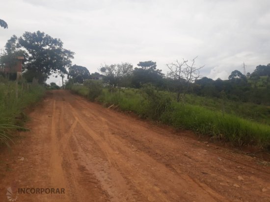 lote-venda-novo-igarape-igarape-mg-824965