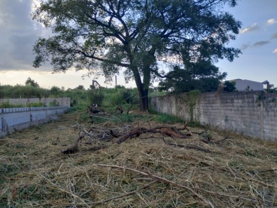 lote-venda-cachoeira-sto-rosa-sarzedo-mg-826039