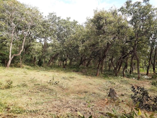 chacara-venda-parque-alvorada-juatuba-mg-852630