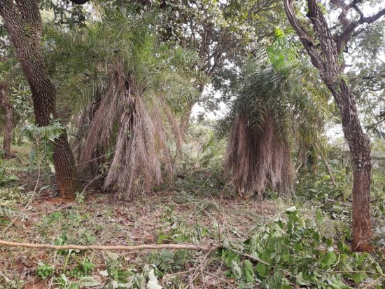 chacara-venda-parque-alvorada-juatuba-mg-852631